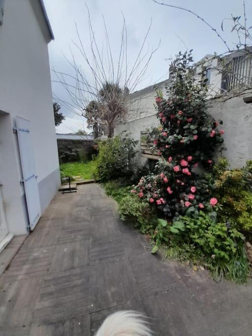 L'Octroi Nantes-6 Pers.-Jardin-Proche Tt Comm. Villa Luaran gambar